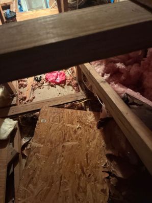 Plumbing Repair in Fort Lauderdale, FL (2)