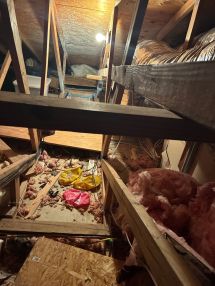 Plumbing Repair in Fort Lauderdale, FL (3)